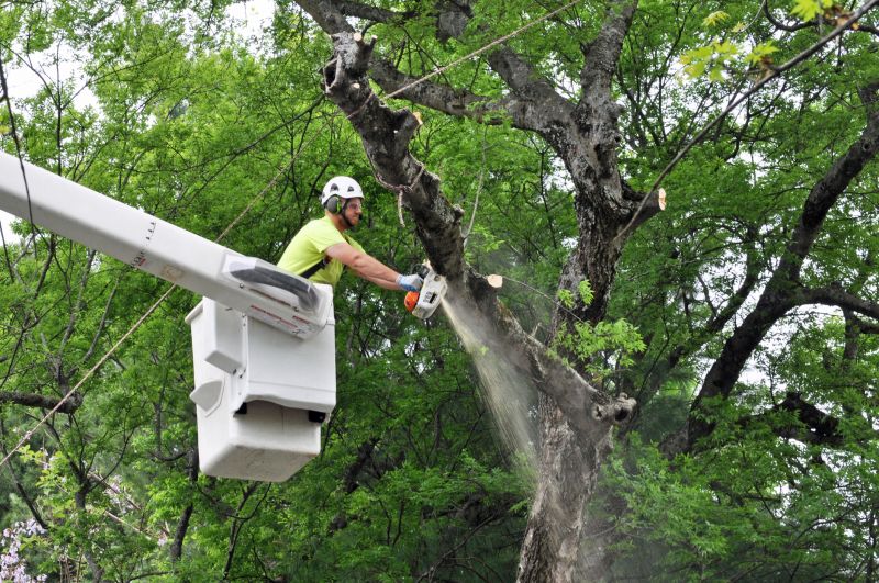 Tree Pruning Equipment