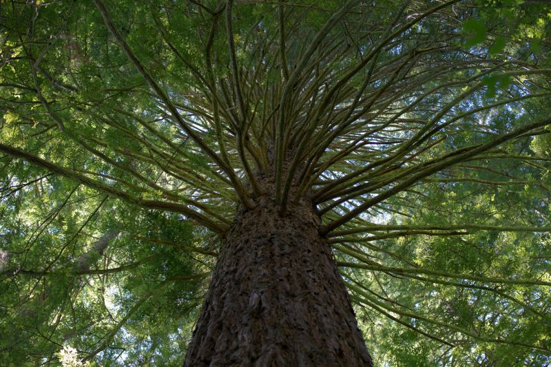 Encourage Fuller, More Balanced Growth